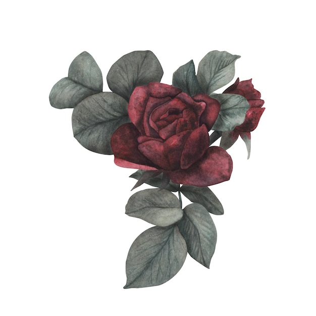 Rosa gótica oscura con hojas textura mágica aislada sobre fondo blanco Acuarela dibujo botánico dibujado a mano iIllustration Arte para el diseño místico decoración de brujas de halloween tarjeta de felicitación aterradora