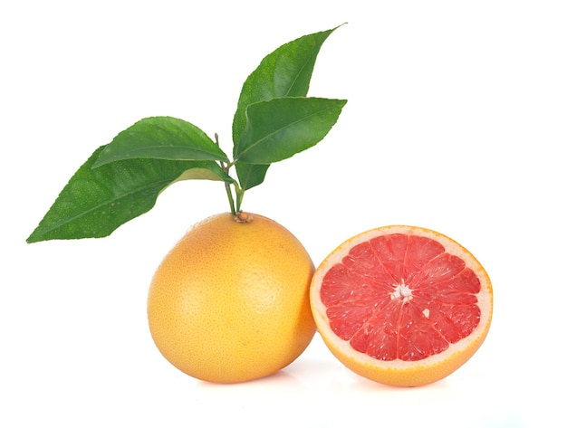 Rosa Grapefruit vor weißem Hintergrund