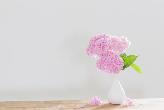 Rosa Hortensie in weißer Vase auf Holzregal auf weißer Hintergrundwand