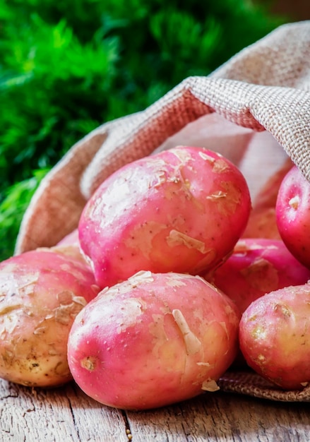 Rosa Kartoffel in einer Segeltuchtasche auf selektivem Fokus des hölzernen Hintergrundes der Weinlese