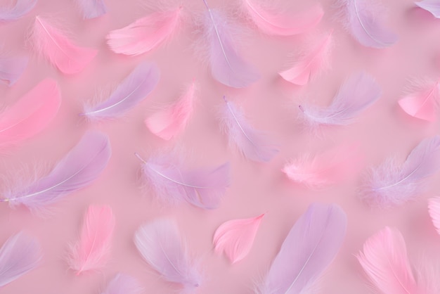 Rosa lila Feder und Flusen auf rosa Hintergrund abstrakte festliche Liebe romantischer Osterhintergrund
