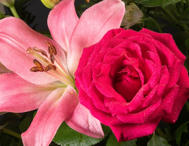 Rosa Lilly und rote Rose Makro-Art Schuss im Garten.