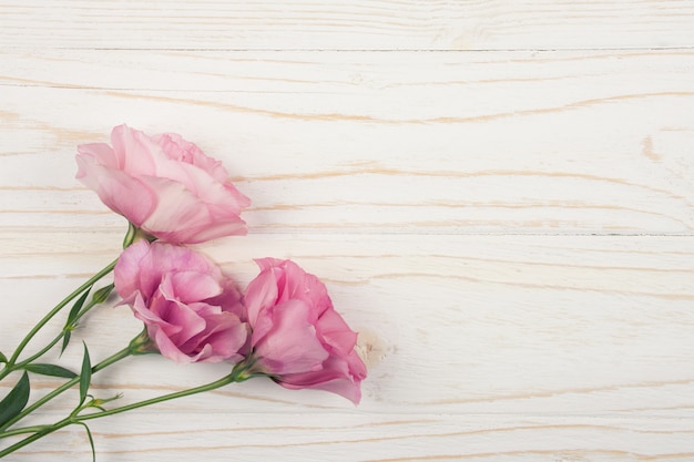 Rosa lisianthus (eustoma) flores sobre un fondo de madera