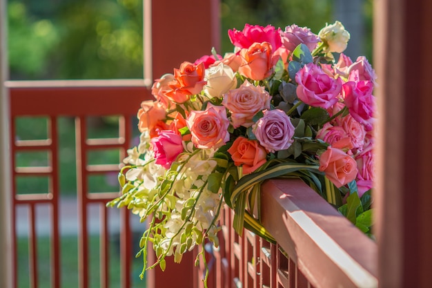 Rosa y luz cálida en jardín