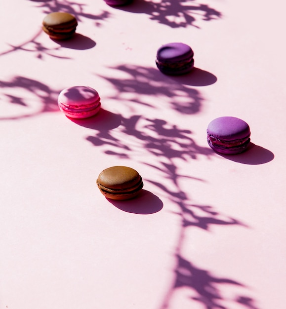 Rosa Macarons und Zweigschatten auf rosa Oberfläche. Ansicht von oben