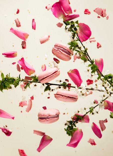 Rosa Makronen und Rosenblätter fliegen in der Luft mit Kirschzweig auf grauer Oberfläche