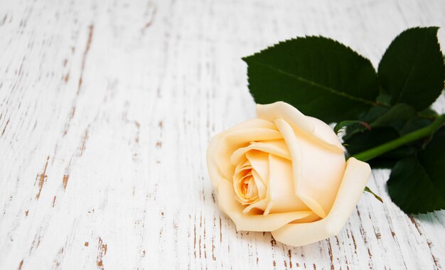 Rosa en una mesa de madera