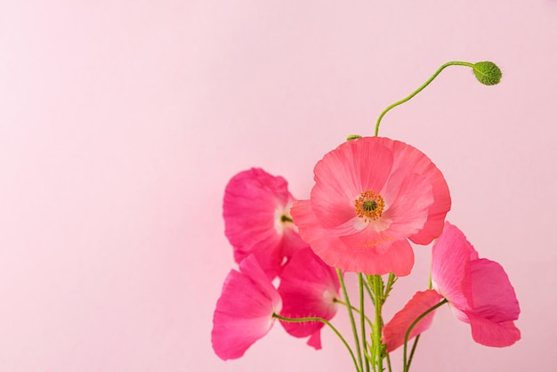 Rosa Mohnblumen Blumenstrauß auf pastellrosa Hintergrund Hochzeitskarte mit Kopierbereich Stillleben