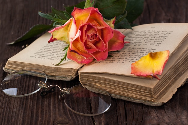 Rosa naranja con libro viejo y gafas