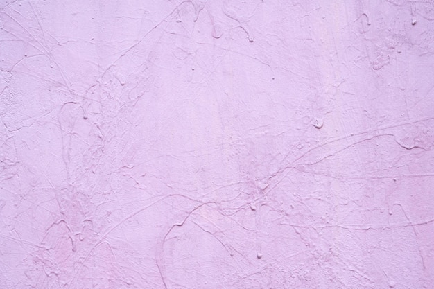 Rosa pastel em fundo de textura de parede