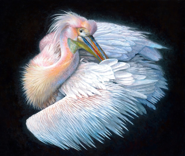 Foto rosa pelikan, realistische acrylmalerei auf einem schwarzen hintergrund
