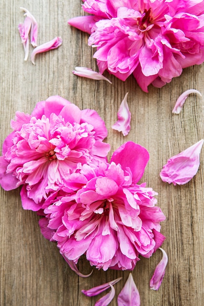 Rosa Pfingstrosenblumen als Grenze auf einem alten Holztisch