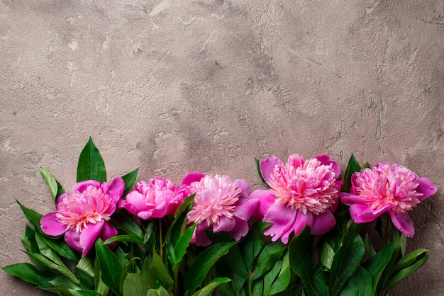 Rosa Pfingstrosenblumen auf dem Boden