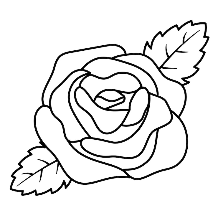 Foto rosa png doodle adesivo ilustração preta e branca fundo transparente