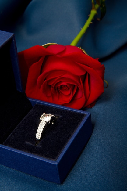 Rosa roja con anillo de regalo.