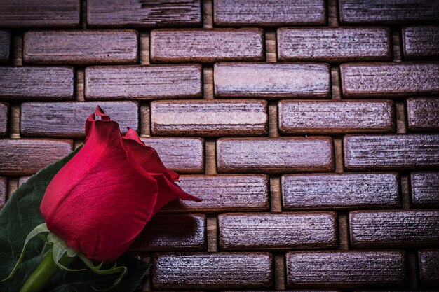 Rosa roja aromática en concepto de vacaciones de estera de madera de mimbre