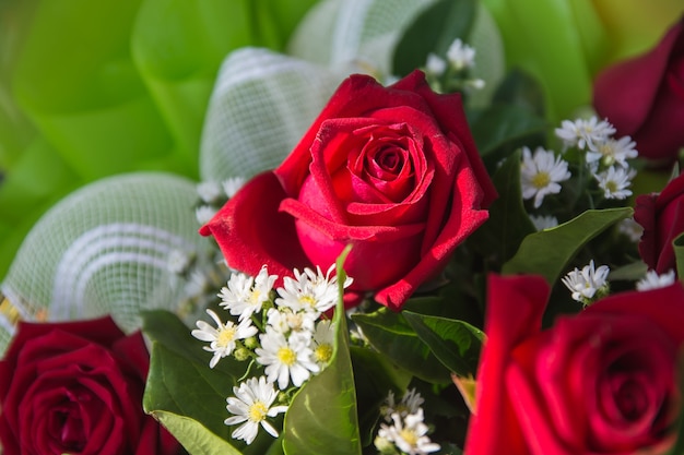 Rosa roja en bouquet, enfoque selectivo