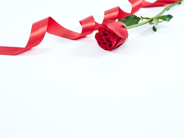 Una rosa roja con una cinta roja. Concepto del día de San Valentín