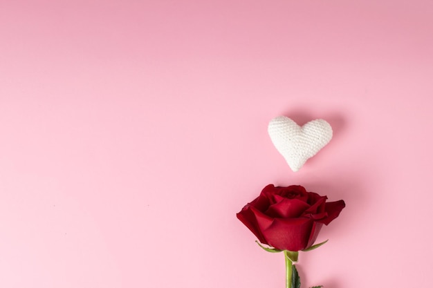 Rosa roja y corazones blancos sobre fondo rosa Banner para la postal del día de San Valentín para el 14 de febrero Amor Minimalismo