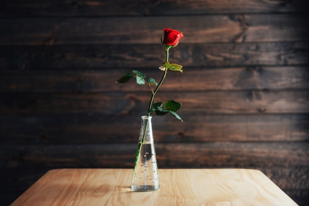Rosa roja en florero sobre mesa de madera