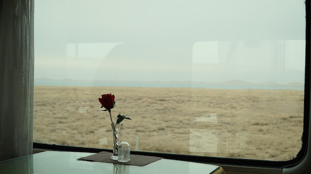 Rosa roja frente a la ventana en el tren