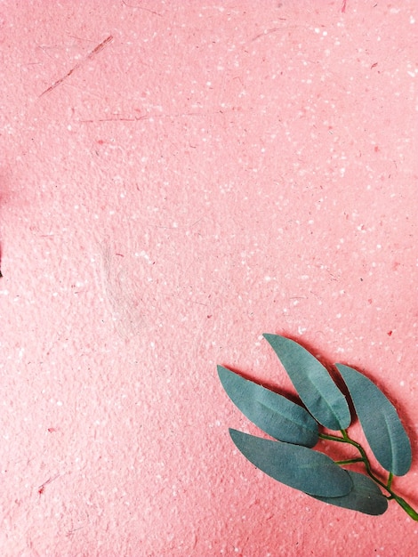 rosa roja y hoja sobre fondo rosa con espacio de copia