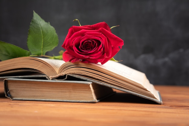 Rosa roja en un libro sobre una superficie de madera