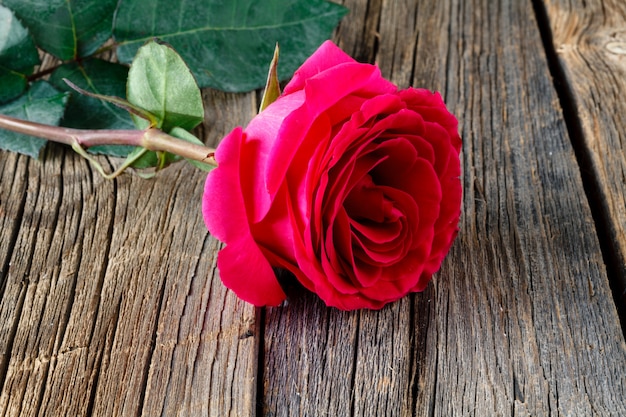 Rosa roja en la mesa de madera