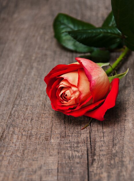 Rosa roja en una mesa de madera