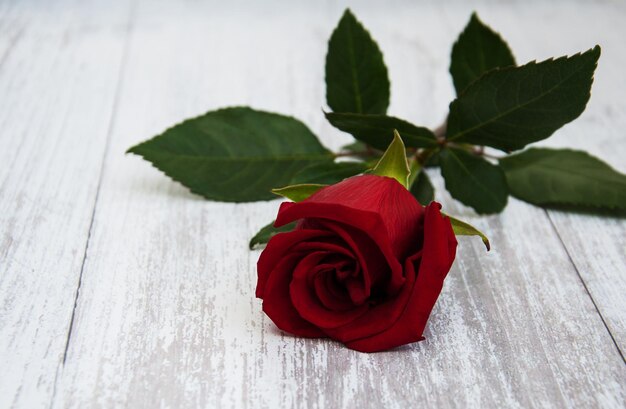 Una rosa roja en una mesa