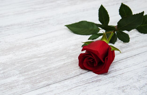 Una rosa roja en una mesa