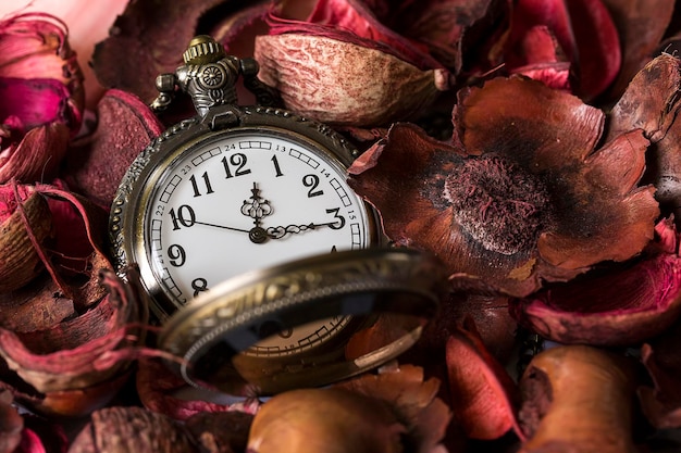 Rosa roja y reloj de bolsillo, tiempo, fondo