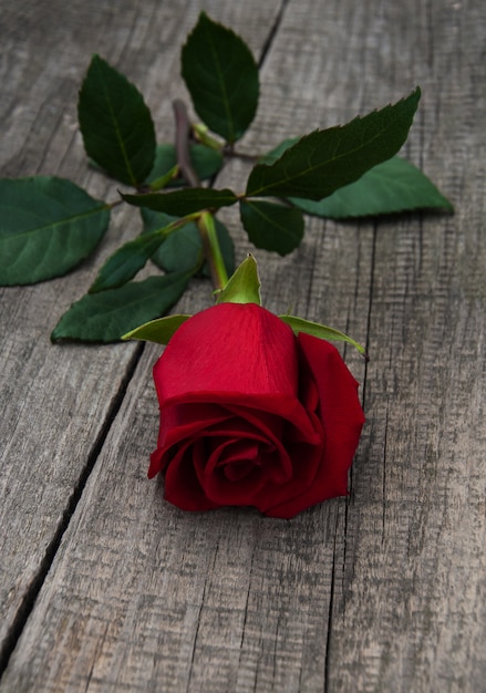 Rosa roja sobre una mesa