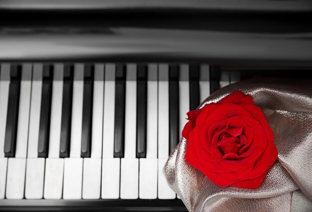 Rosa roja con tela en las teclas del piano de cerca