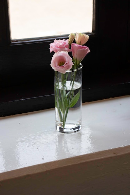 Rosa rosa en florero sobre la mesa