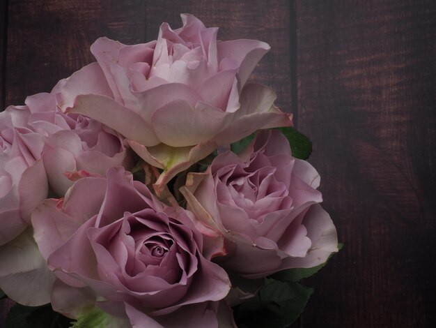 Una rosa rosa con una gota de rocío