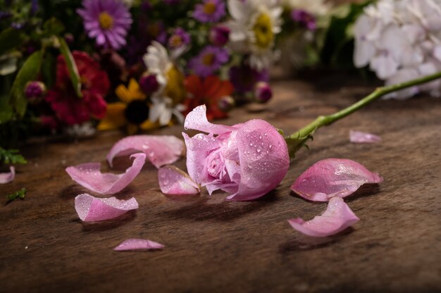 Rosa rosa y pétalos de madera