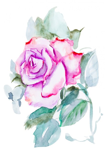 Rosa Rose Aquarell handbemalt