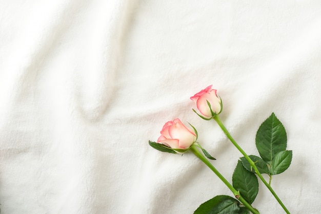 Rosa Rosen auf weißem Pelz Flatlay