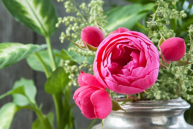 Rosa Rosen in der alten silbernen Vase und in den Grünpflanzen