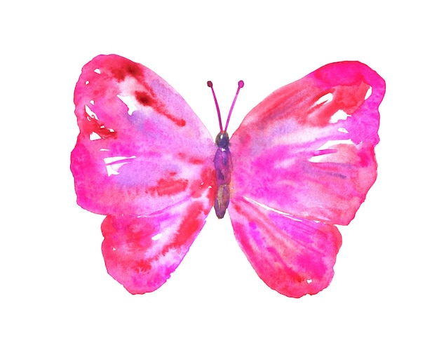 Rosa roter Schmetterling. Hand gezeichnete Aquarellillustration. Isoliert.