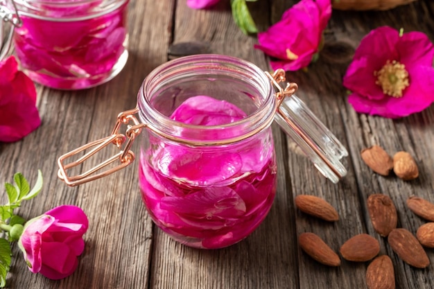 Rosa rugosa Blüten, die in Mandelöl mazert werden, um ein natürliches Hauttonikum herzustellen