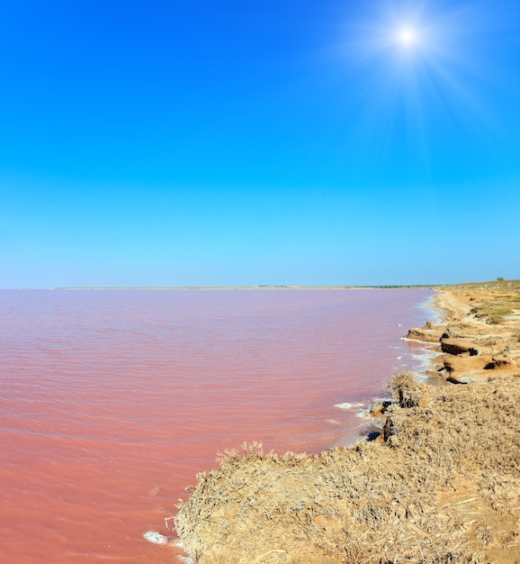 Foto rosa salziger syvash see ukraine