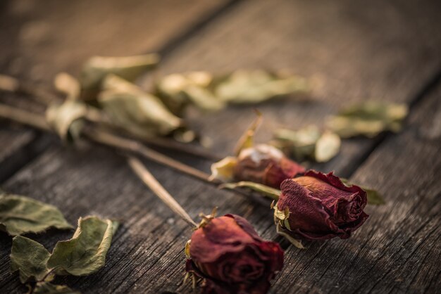 Rosa secada del rojo en fondo de madera con estilo del vintage. Con el corazón roto