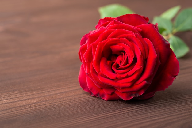Una rosa sobre fondo de madera