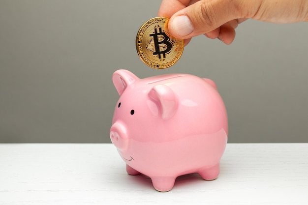 Rosa Sparschwein und goldene Bitcoin auf grauem Hintergrund. Kryptowährungen sparen.