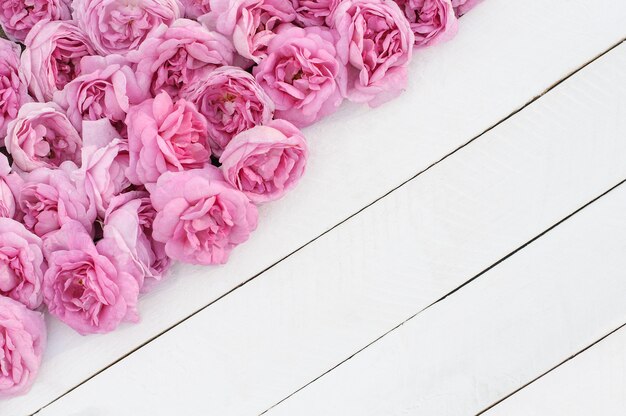 rosa Teerosenblüten auf weißen Holzbrettern