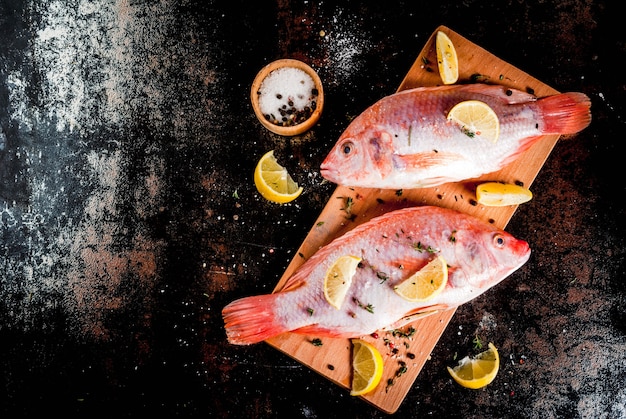 Rosa Tilapia des frischen rohen Fisches mit Gewürzen für das Kochen der Zitrone, des Salzes, des Pfeffers, der Kräuter, auf schwarzer rostiger Metalltabelle, Draufsicht