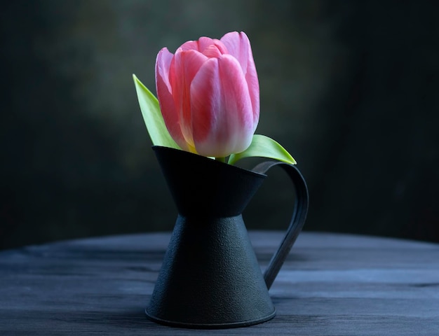 Rosa Tulpe in einer alten Vase