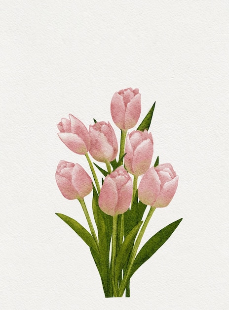 Foto rosa tulpen aquarellmalerei illustration digitale handfarbe strauß frühlingsblumen